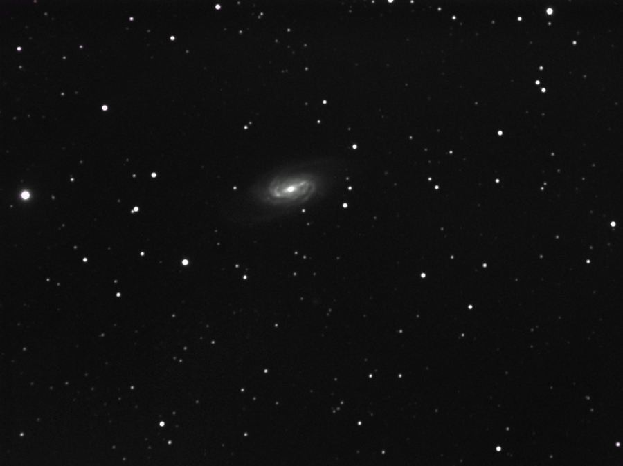 ngc2903