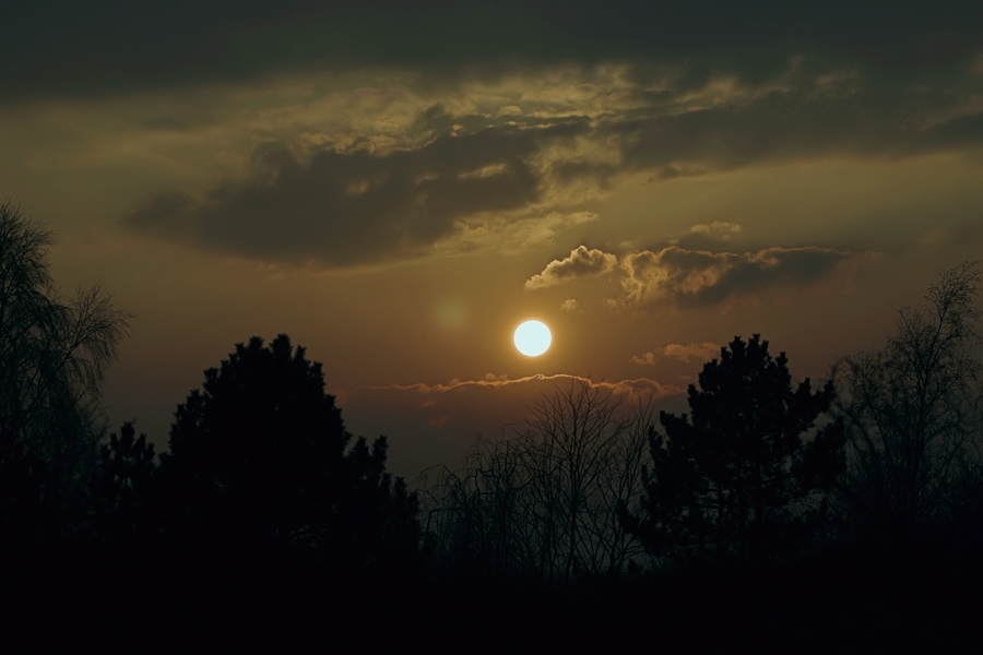sonne210207